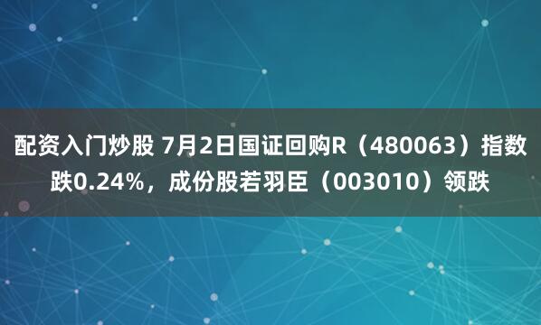 配资入门炒股 7月2日国证回购R（480063）指数跌0.24%，成份股若羽臣（003010）领跌